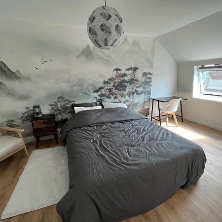 Apartmán Voyage En Duplex En Hyper Centre Valenciennes Exteriér fotografie